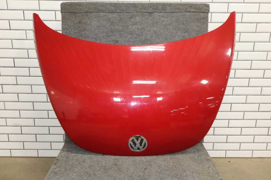 2003-2010 Volkswagen Beetle- Hood